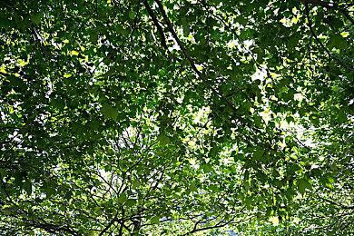 切枪动画大优化！ 《cs2》8月15日进行小型更新